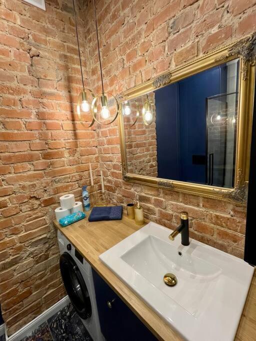 Luxury Apartment In Gliwice Near Town Square Esterno foto